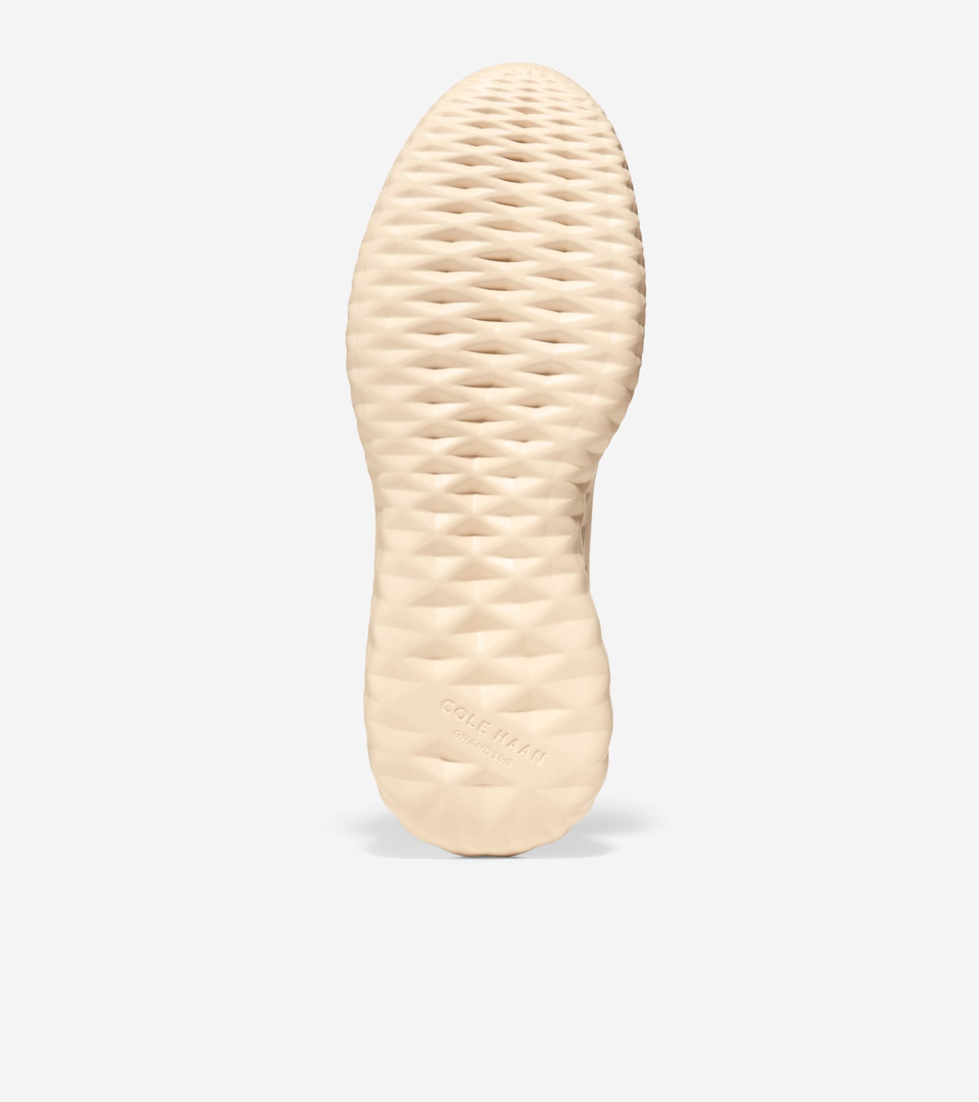 C35214:JET BLACK_PINE NUT