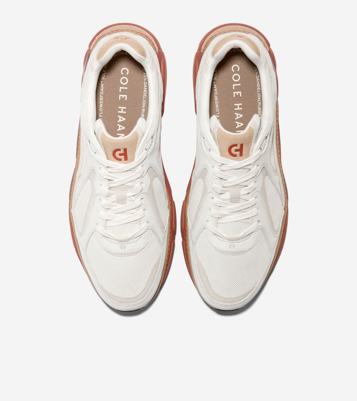 C39785:IVORY/ ANCIENT SCROLL/ ARABIAN SPICE