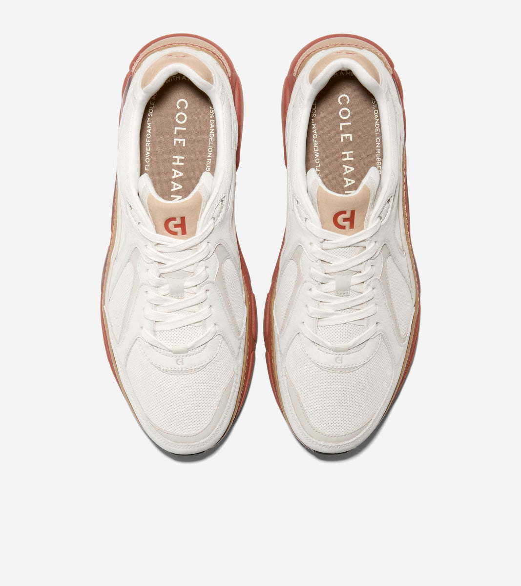 C39785:IVORY/ ANCIENT SCROLL/ ARABIAN SPICE