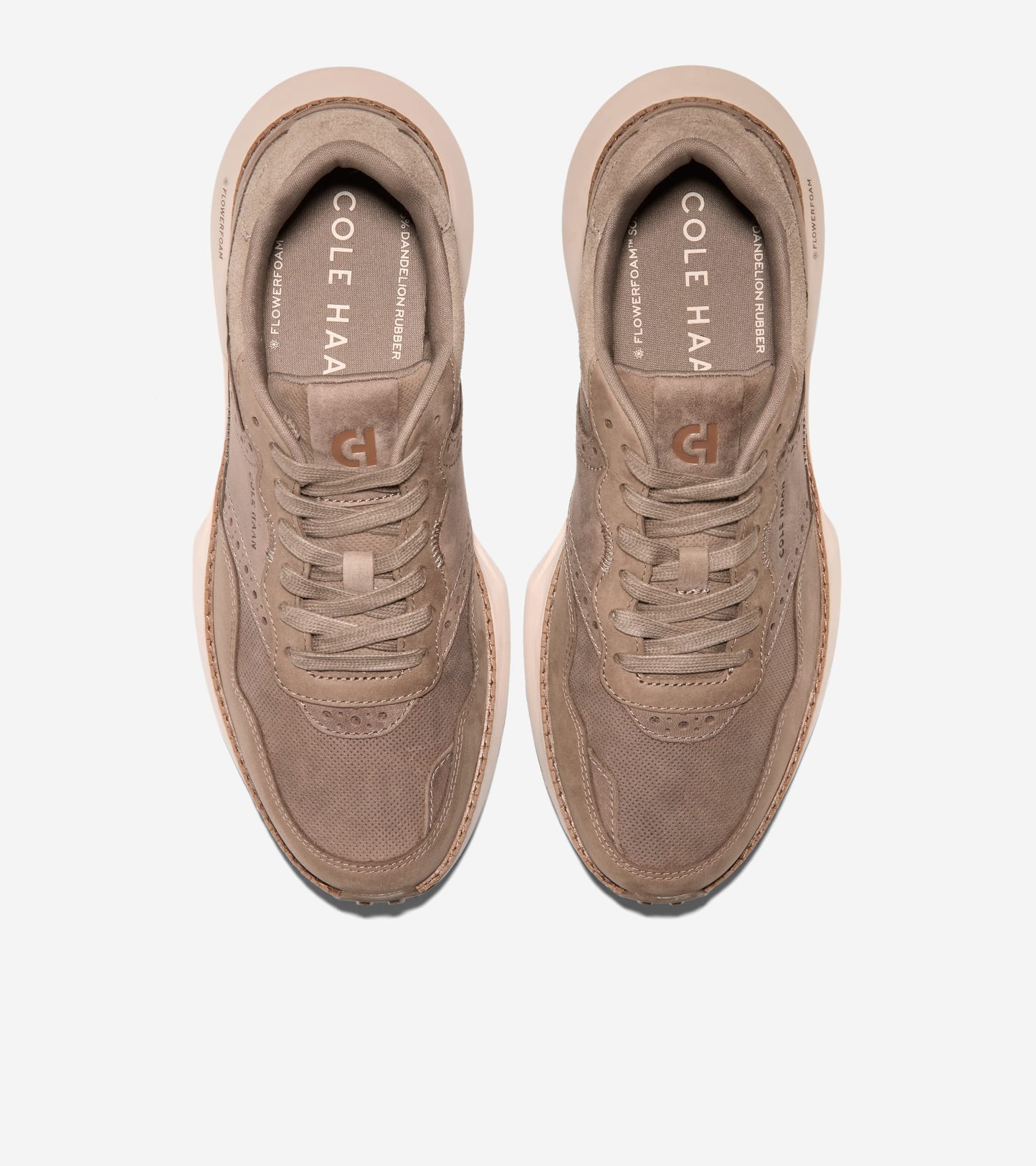 C42248:CH IRISH COFFEE / CH IRISH COFFEE SUEDE / CH OAT