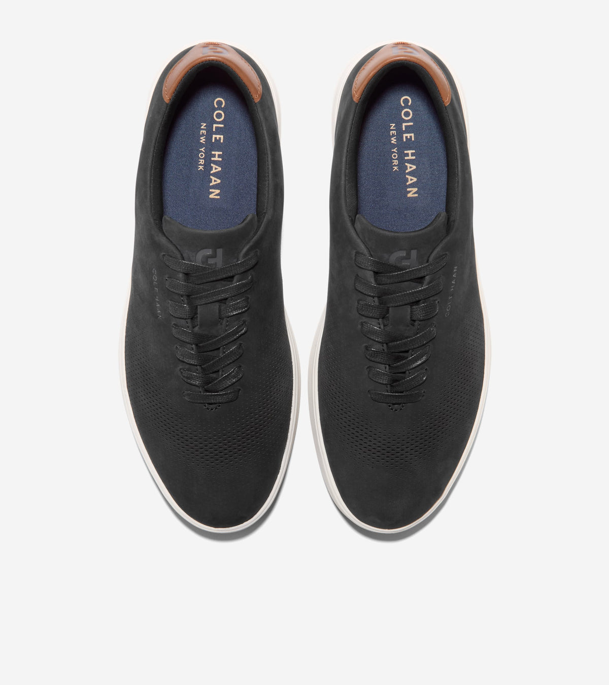 C42979:BLACK NUBUCK / CH GOLDEN HONEY / IVORY